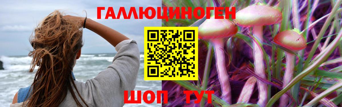 Сланцы  Галлюциногенные грибы MAGIC MUSHROOMS  Вход с VPN 